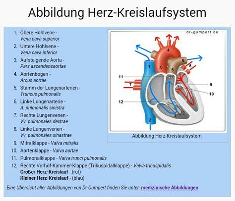 Top 10 herz